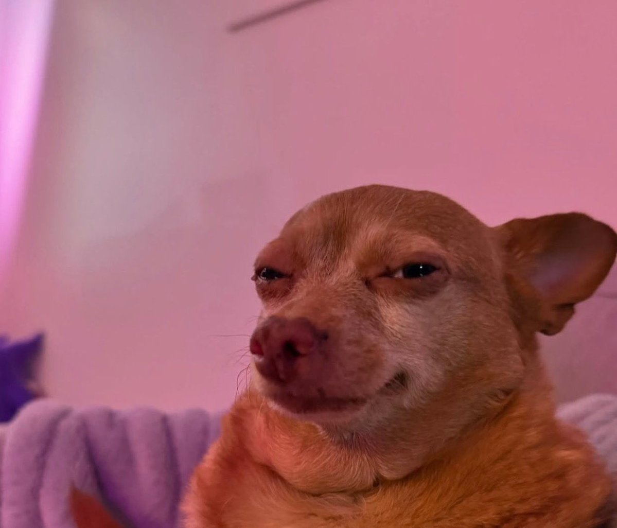 ANDY ✪ tweet media