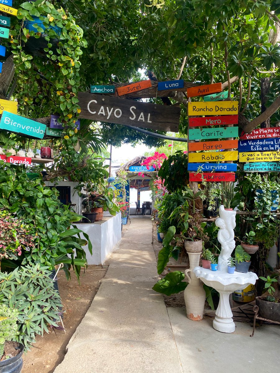 Maria Gabriela Nieves ✨ tweet media