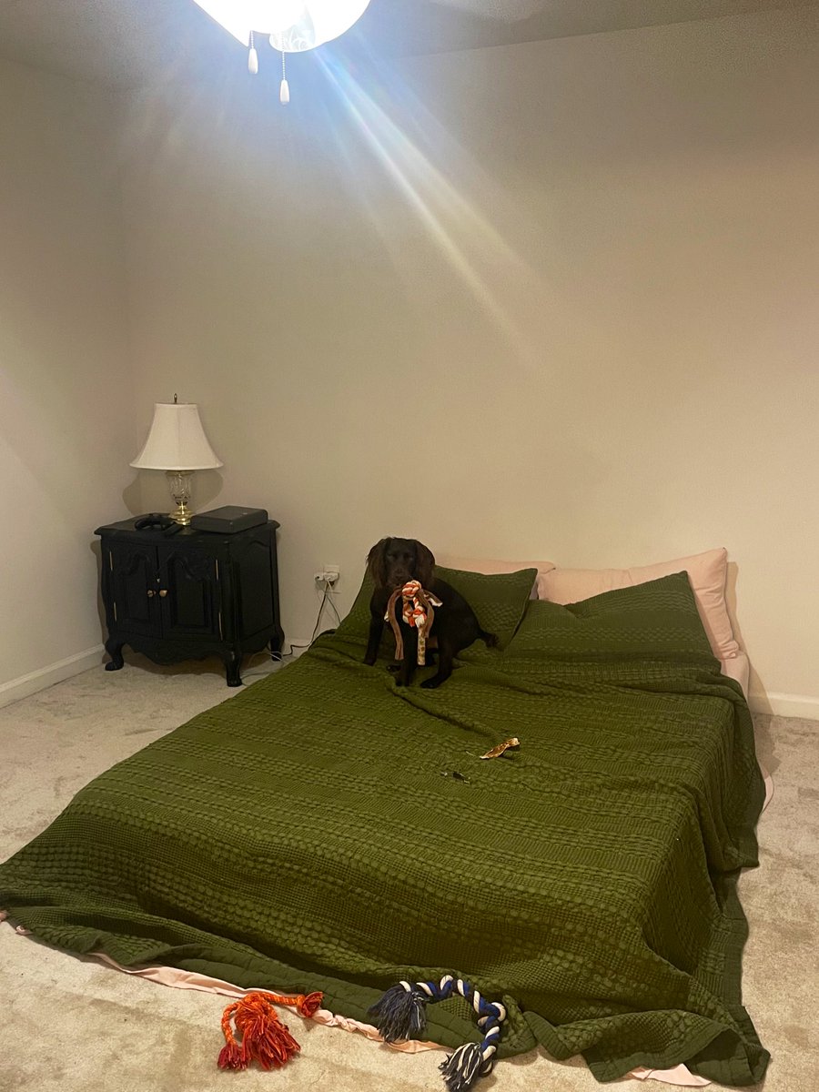 JDgrhrt's tweet image. Rate my setup #moving