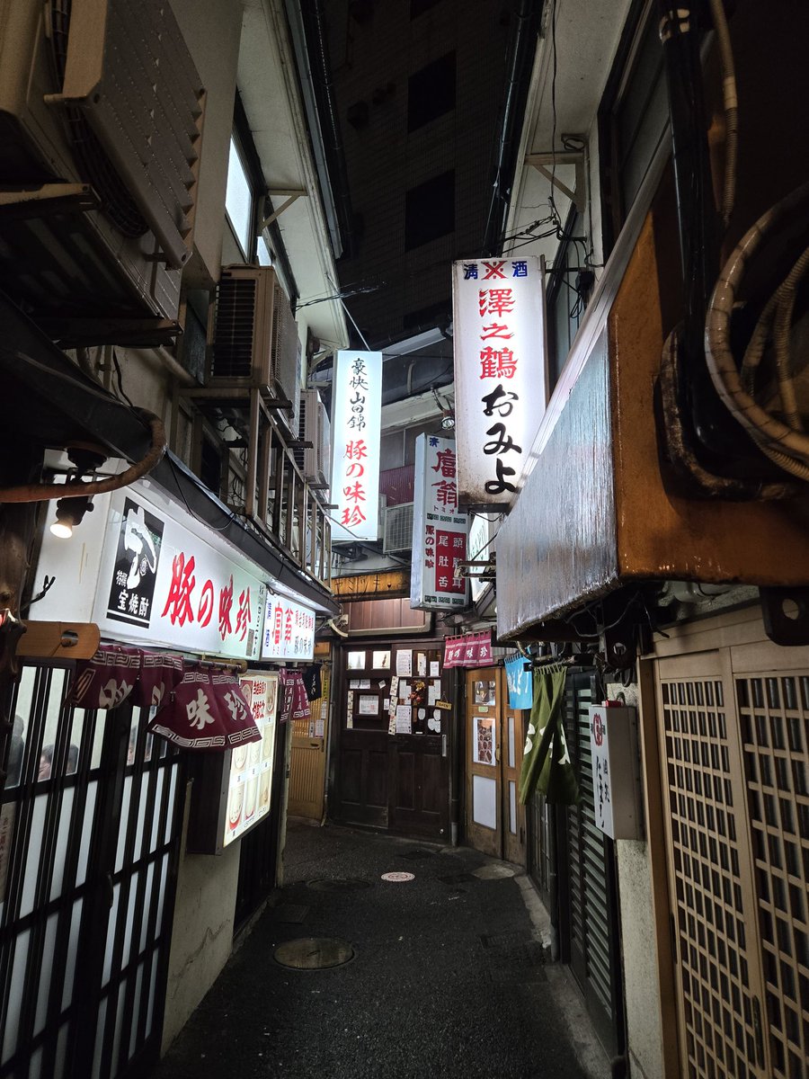 スージー三線 tweet media