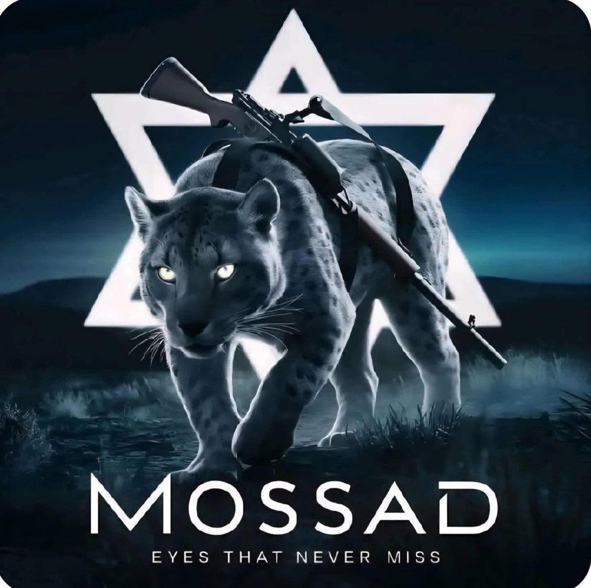 TAIEB Charles tweet media