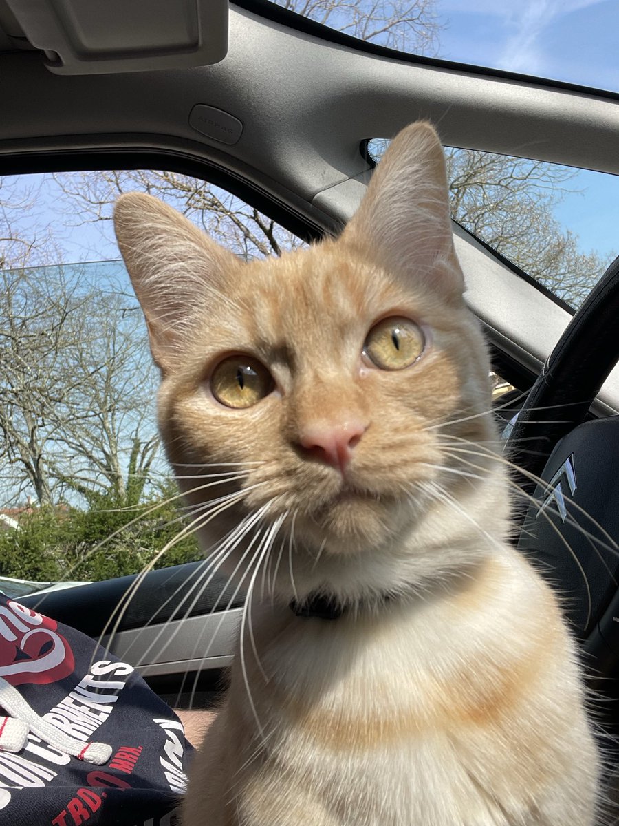 ⭐ DAVID ⭐ tweet media