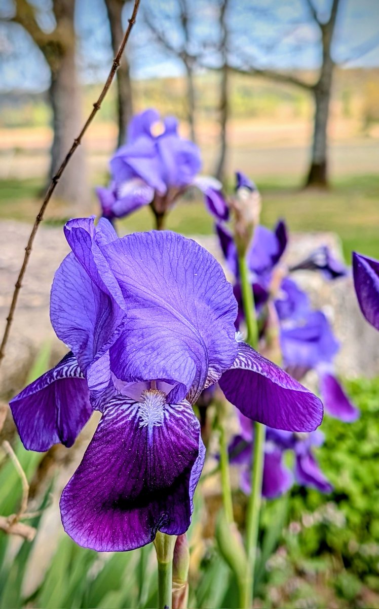 Cat 🧡 🐿 📸 tweet media