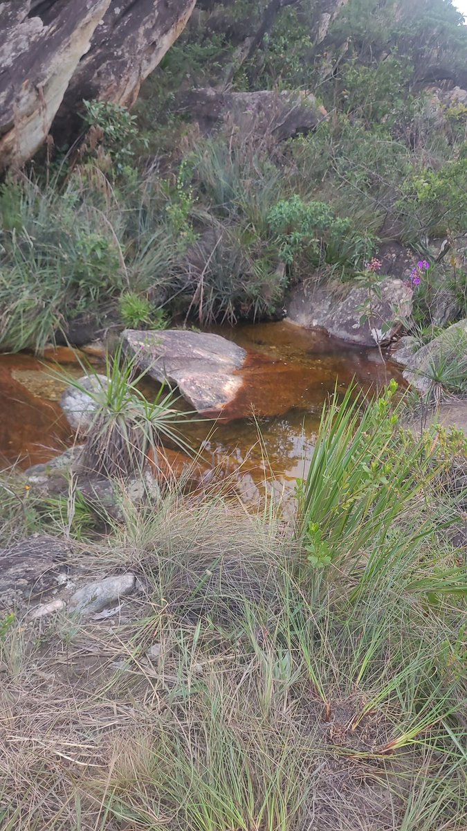 ⛧ DEAD MAN WALKING ⛧ tweet media