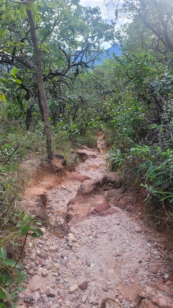 ⛧ DEAD MAN WALKING ⛧ tweet media