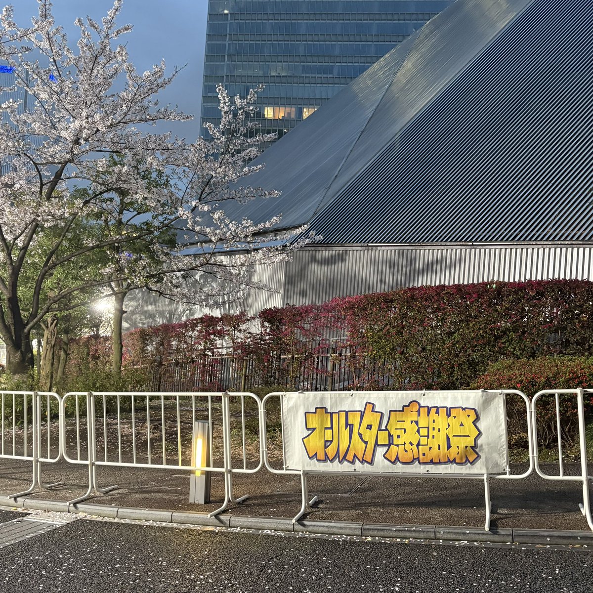 ﾐｻﾄ tweet media