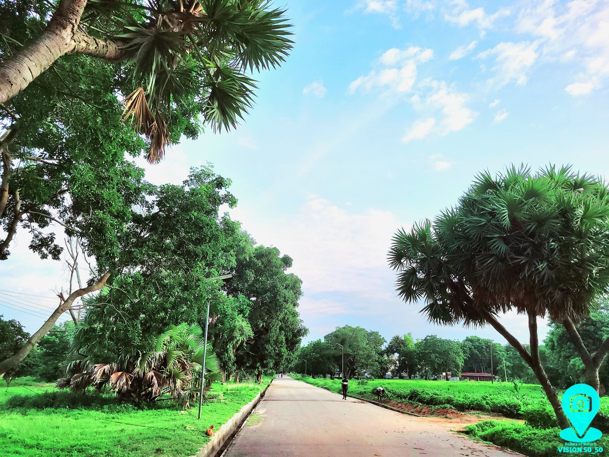 Adam50_50's tweet photo. Beauty of Nature 
All who wander are not lost, always choose the scenic route ⛰️

Inside ABU Campus 
#NaturePhotography #abuzaria #abusites #samsungphotography #landscape https://t.co/CLLM8lzvos