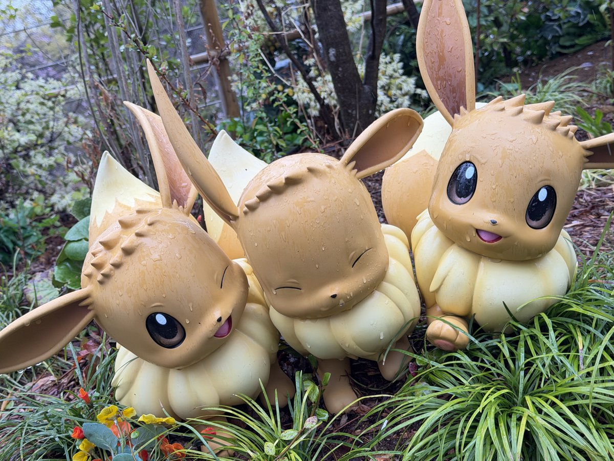 もふ汰🐿️🌼 tweet media