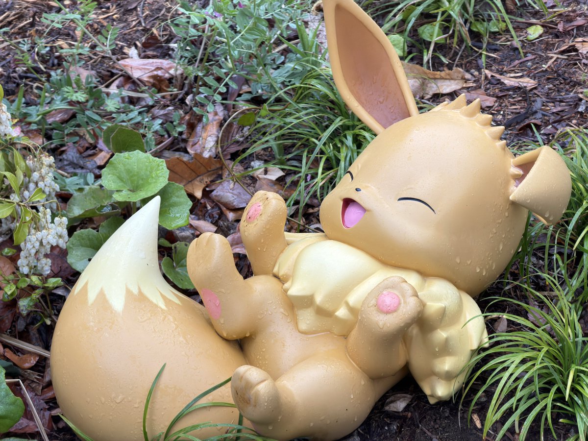 もふ汰🐿️🌼 tweet media