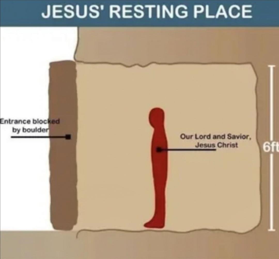 Templarpilled tweet media