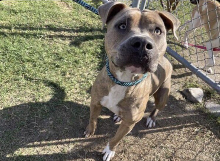 Olwyn Hope tweet media