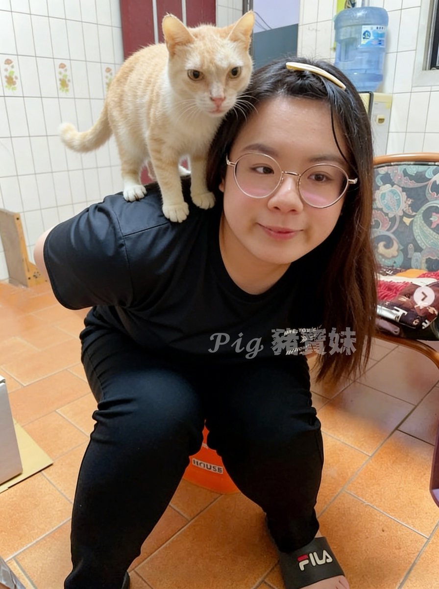 𝓟𝓲𝓰 豬寶妹 tweet media