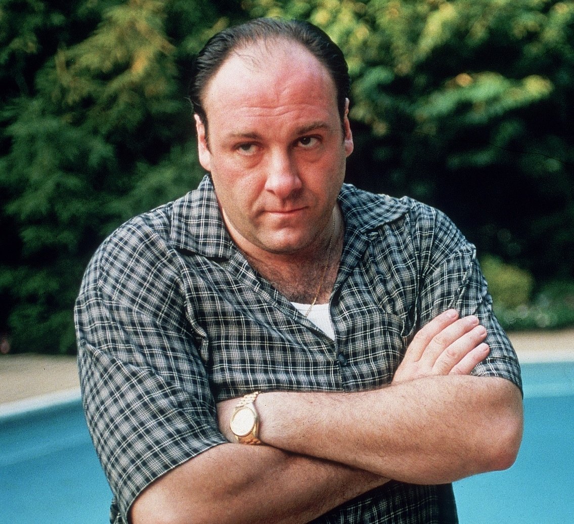 Same Brazilian voice actor