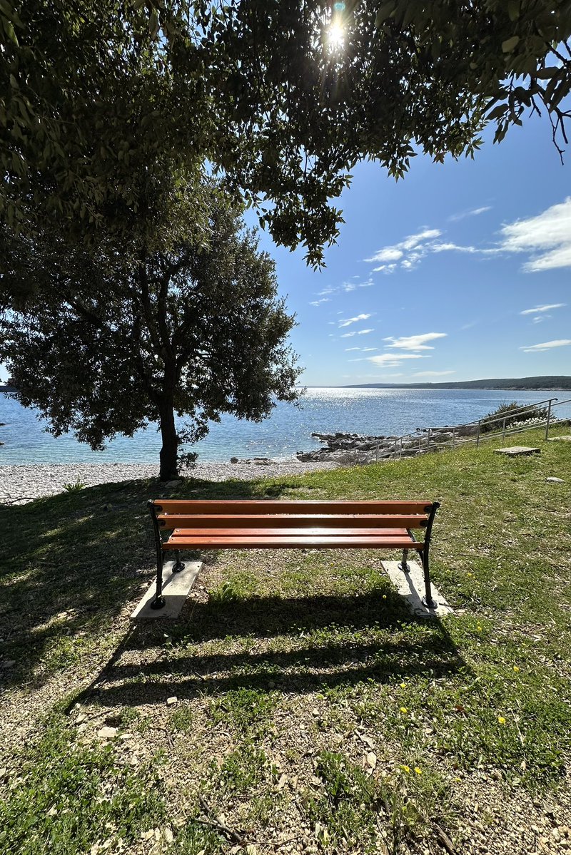 Robert Petković tweet media