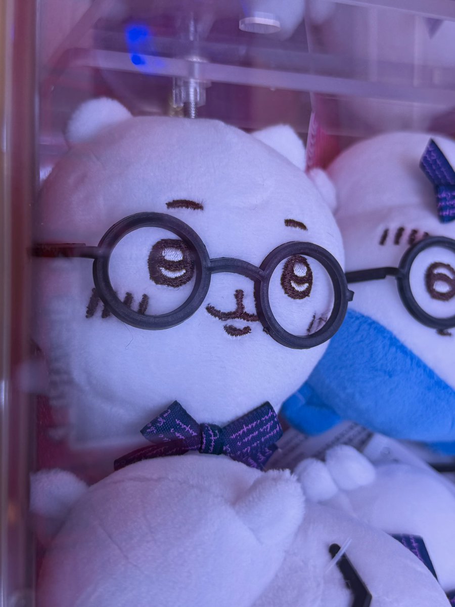 꼬모•̀⩊•́ tweet media