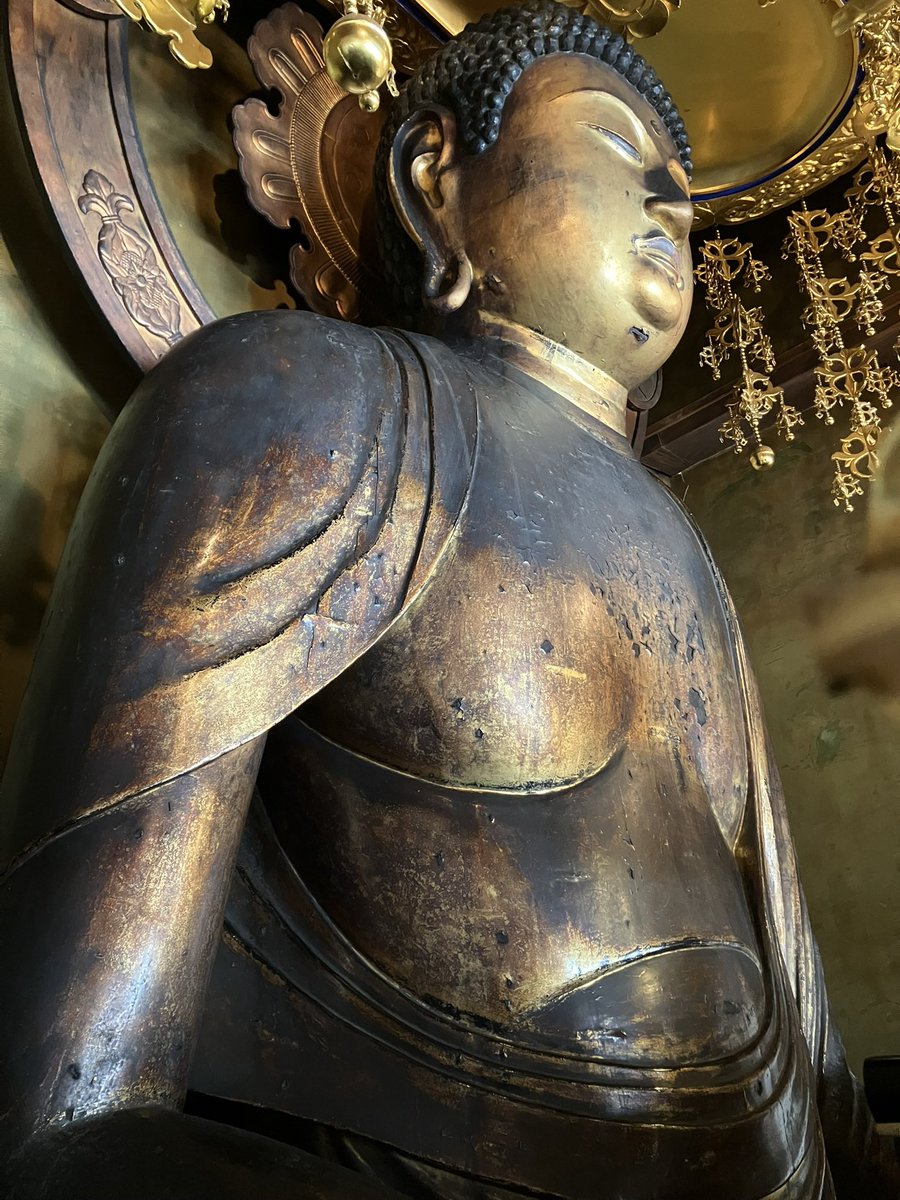 鴨つけ汁蕎麦 tweet media