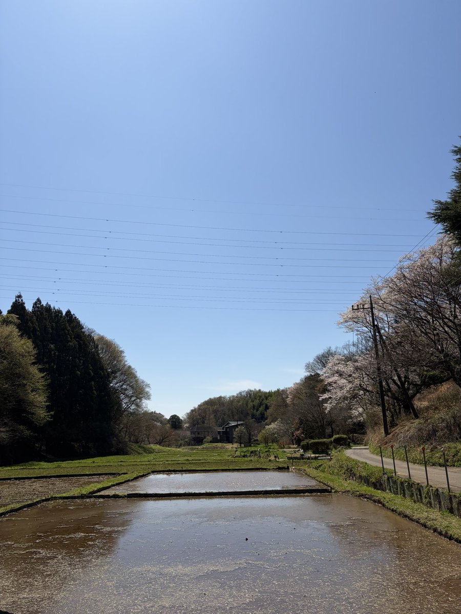 からちゅーの町田放浪記 tweet media