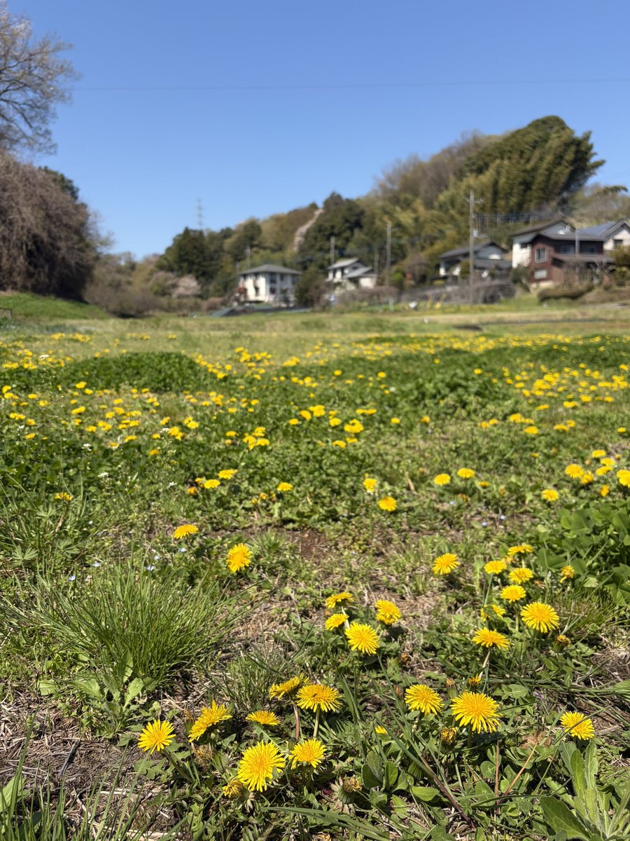 からちゅーの町田放浪記 tweet media