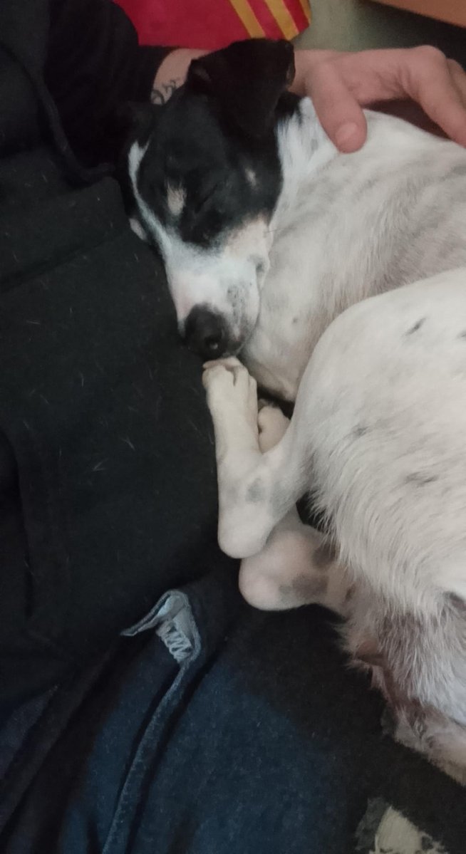 🎄Valhalla🎄 tweet media