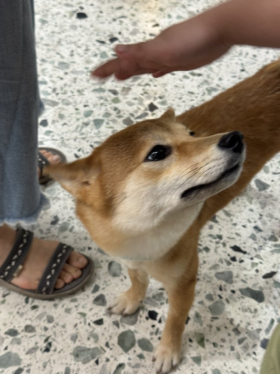 🥨 tais-toi 🥨 tweet media