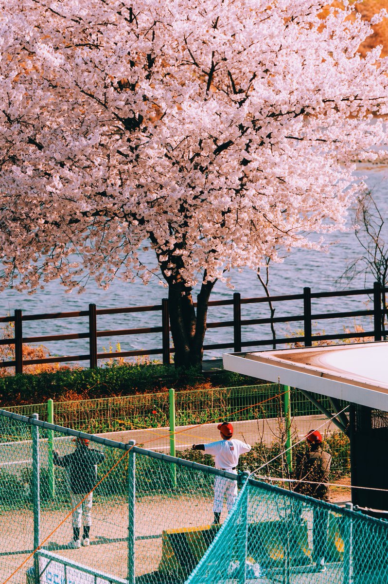 케이채 (K. CHAE) tweet media