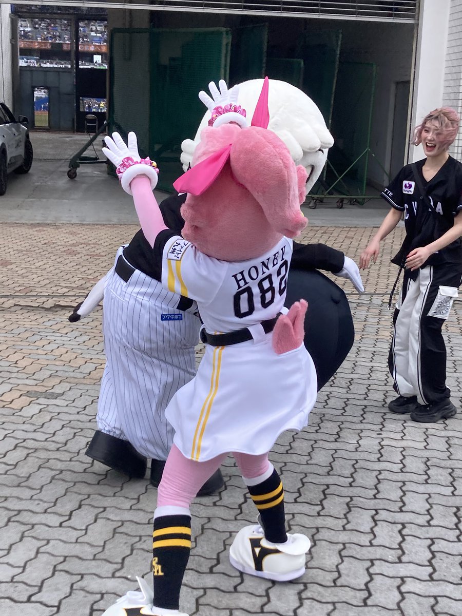 ぺーいしゃん🫑🕊️🐧⚽️⚾️。 tweet media