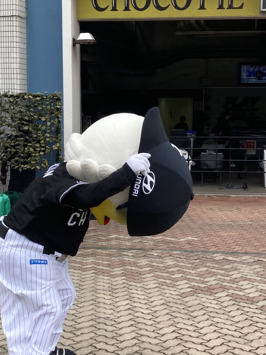 ぺーいしゃん🫑🕊️🐧⚽️⚾️。 tweet media