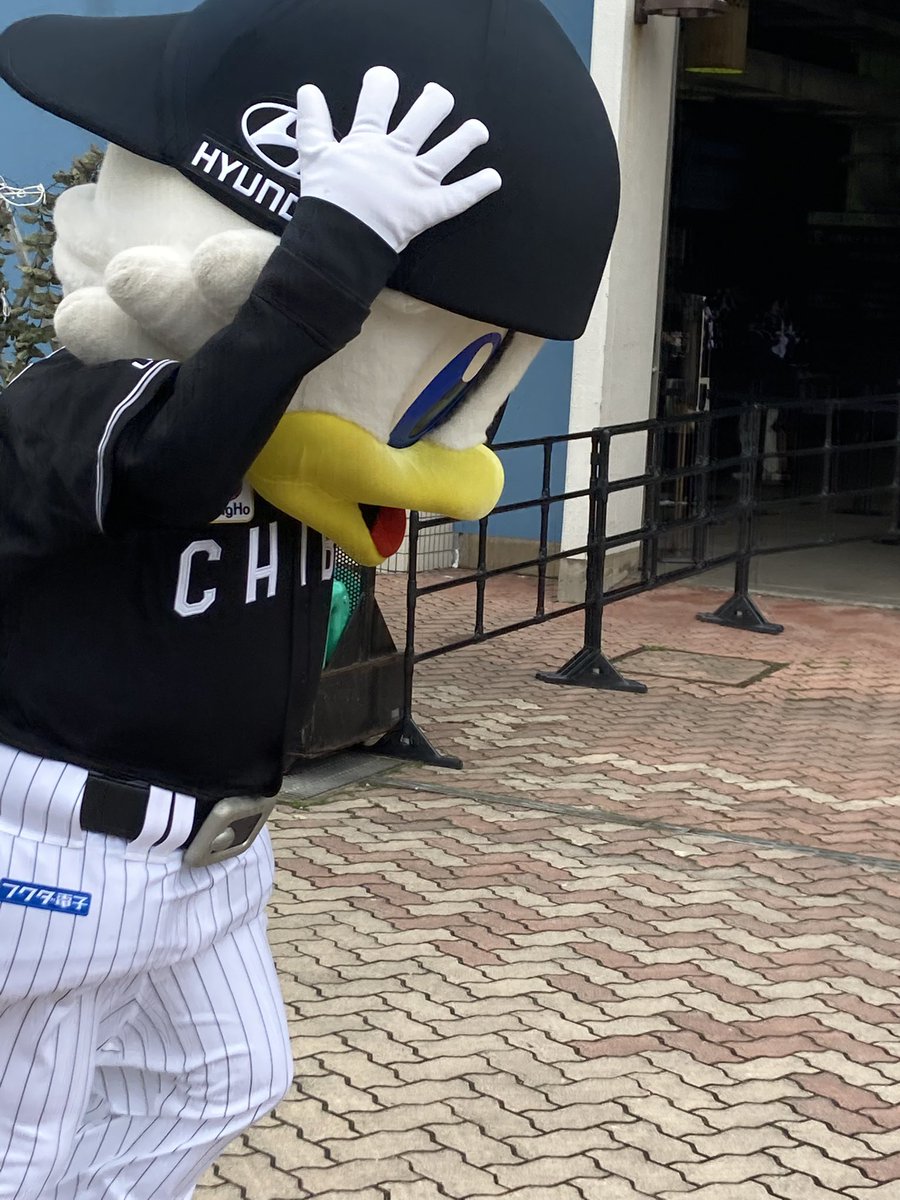 ぺーいしゃん🫑🕊️🐧⚽️⚾️。 tweet media
