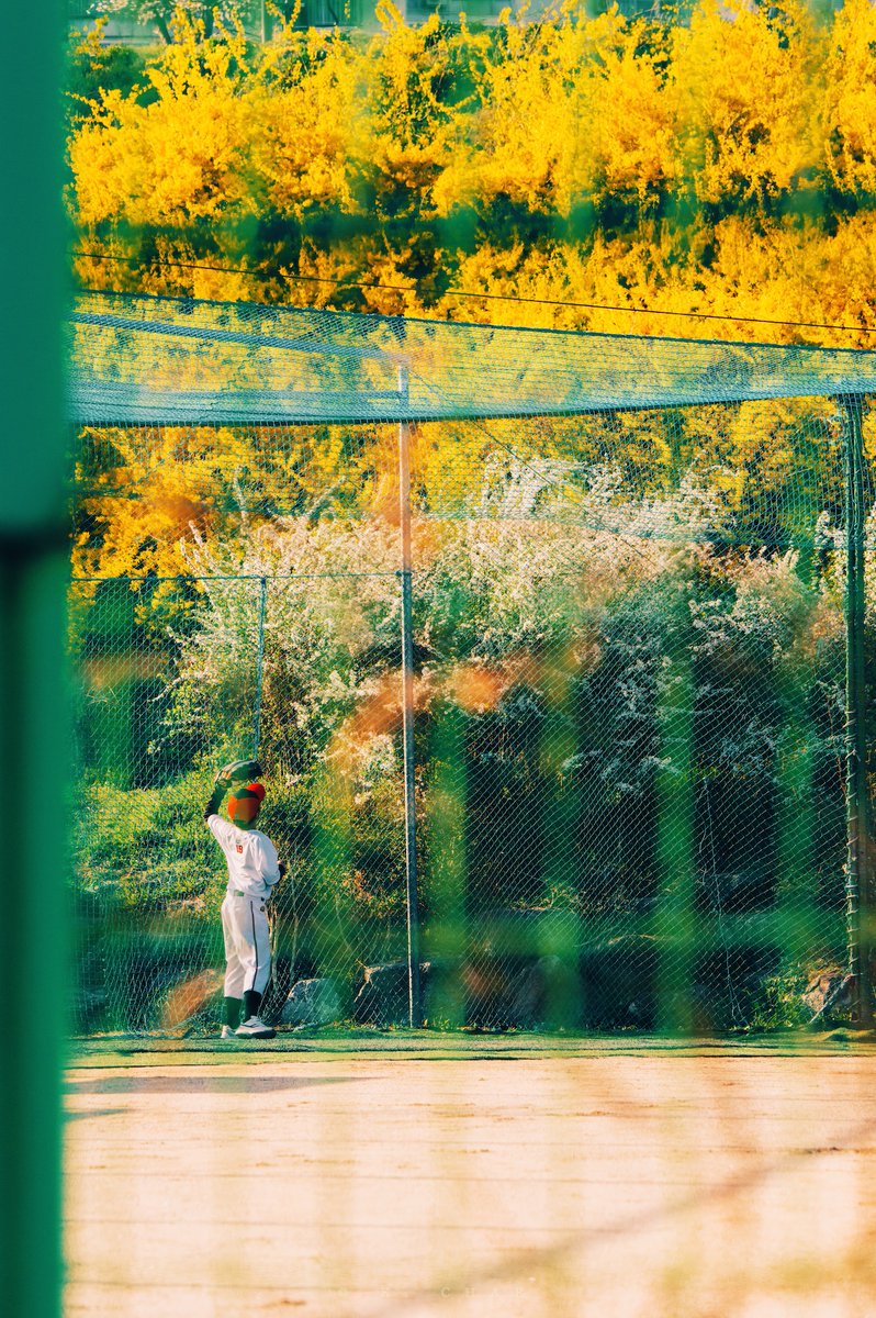 케이채 (K. CHAE) tweet media