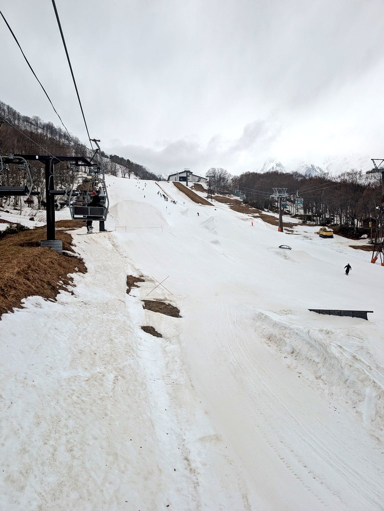 はたけ tweet media