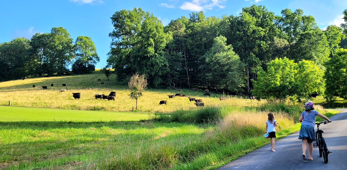 Oh, Shenandoah tweet media