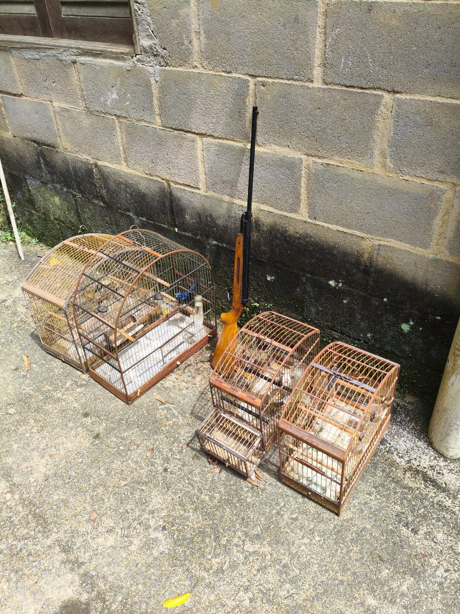 Disque Denúncia Rio tweet media