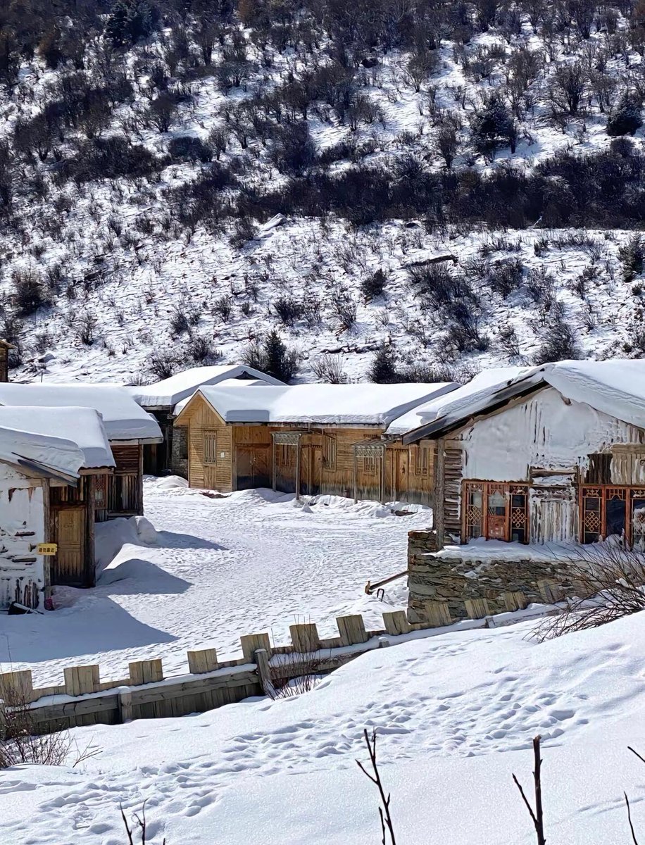 lite chen tweet media