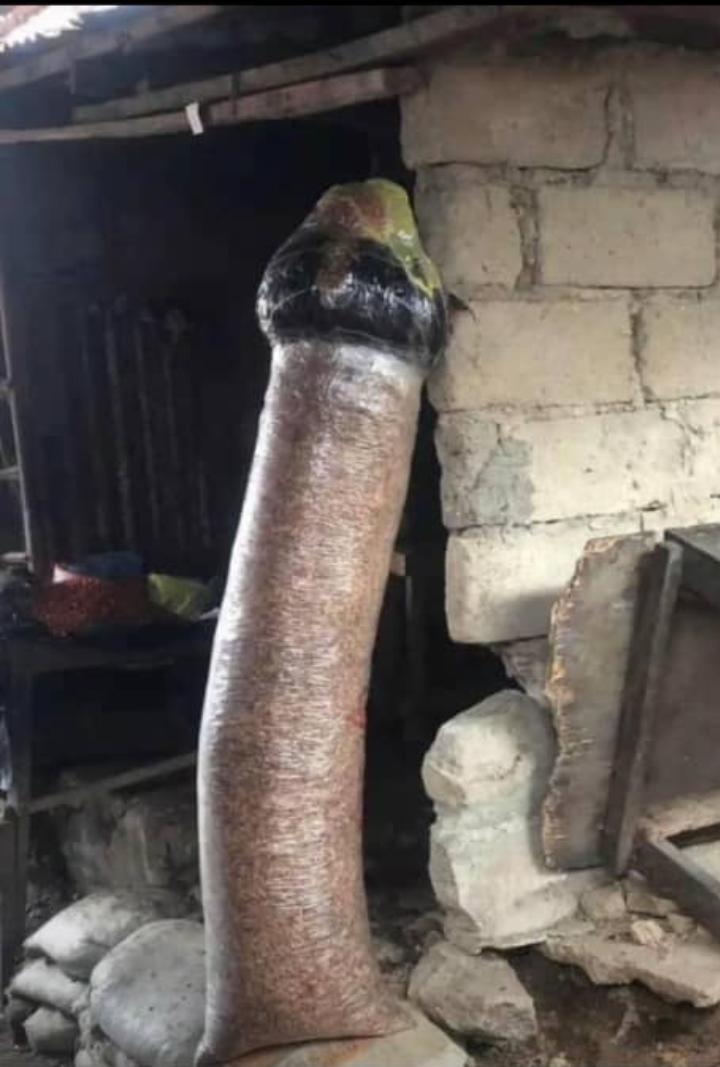 Badboytreece tweet media