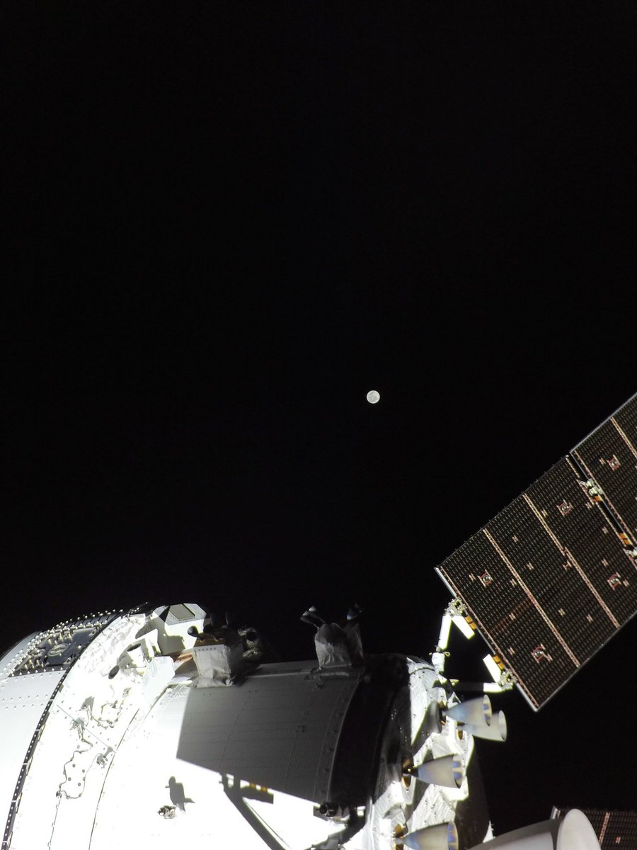 Curiosity tweet media