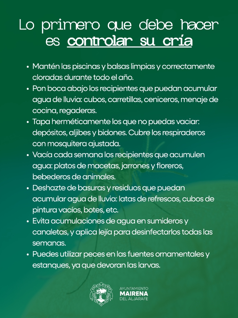 Mairena del Aljarafe tweet media