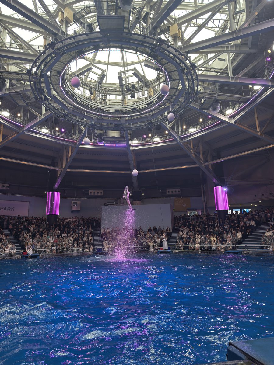 ☆かずみん☆ tweet media