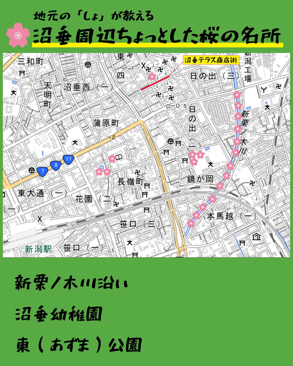 沼垂テラス商店街･朝市&冬市 tweet media