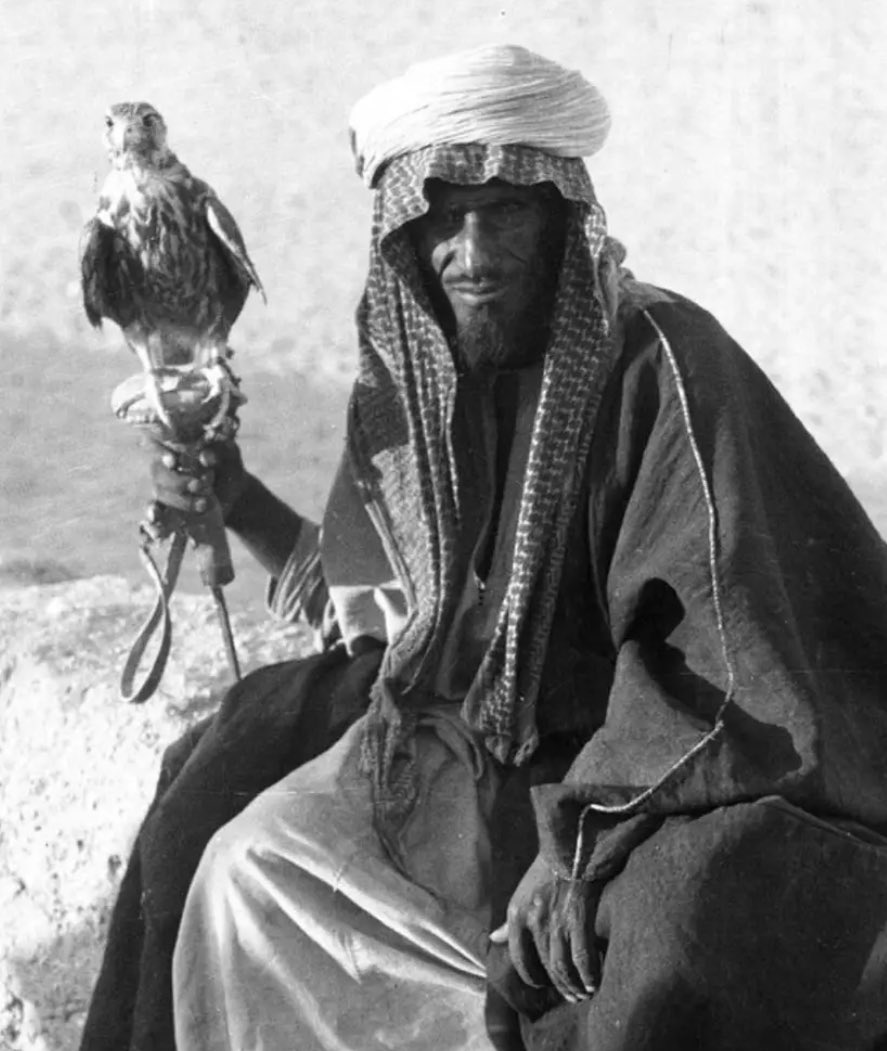 المُـلِمـ tweet media