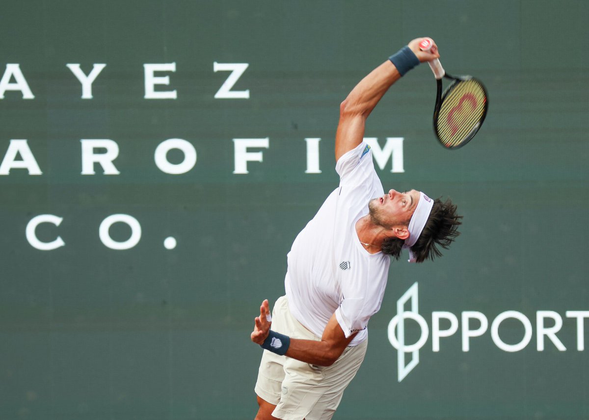 Juan Martin del Potro Book tweet media