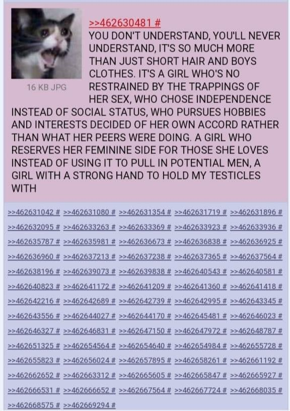 Kotazumaa 🌠🎀 tweet media