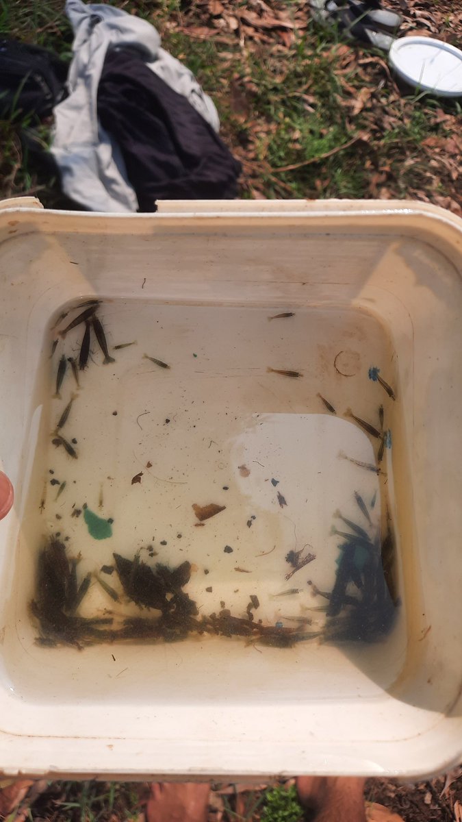 Maclean Antony Santos tweet media