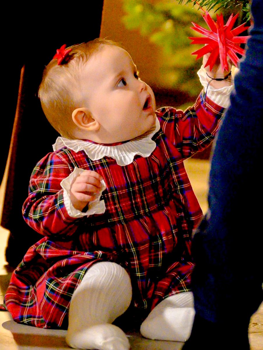 royalchildren_'s tweet image. Princess Ines of Sweden receives the Christmas Trees from The Swedish University of Agricultural Sciences Umeå, at The Royal Palace in Stockholm, Sweden 🎄 -December 15th 2025.
.
📷 : Dana Press &amp;amp; Patrick Osterberg/Stella Pictures/ABACAPRESS.COM.
.
#PrincessInes #Sweden
