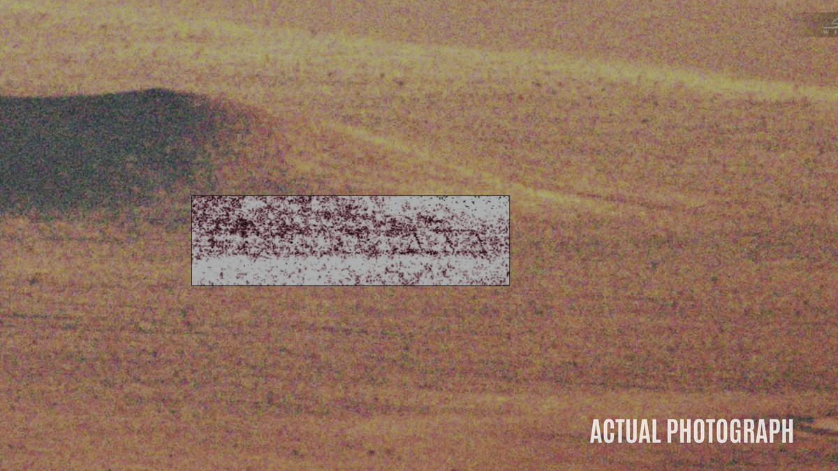 Chris Ramsay tweet media