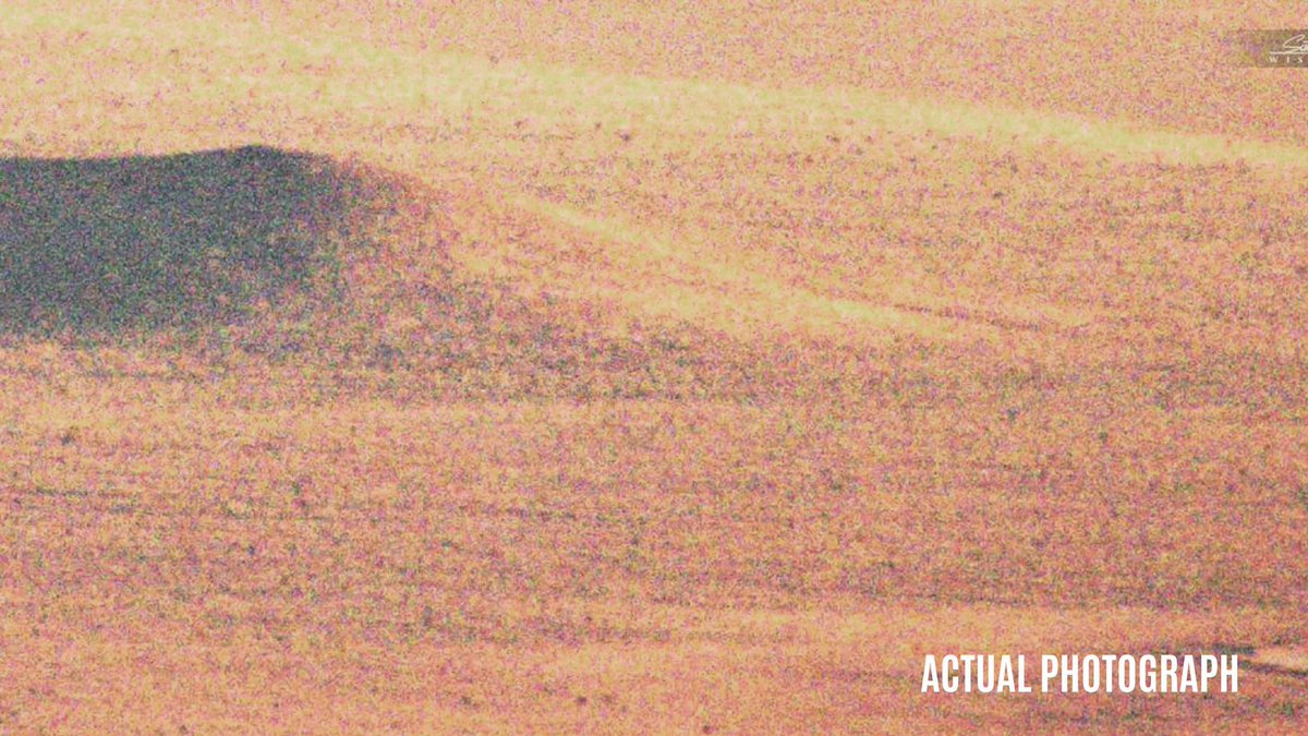 Chris Ramsay tweet media