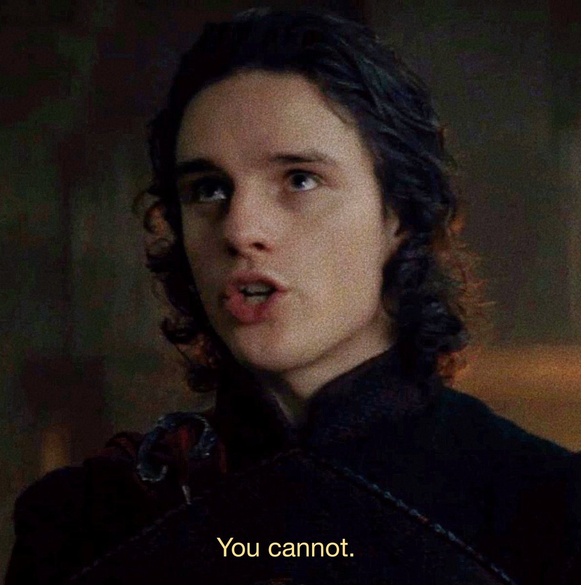 nora ⭑ tweet media