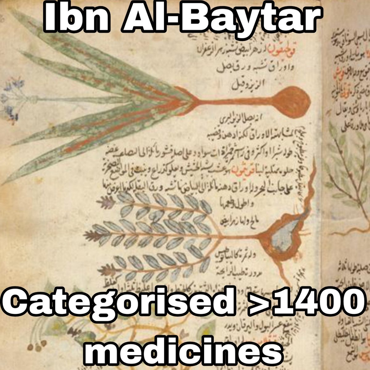 Berlan 🇵🇹☪️ tweet media