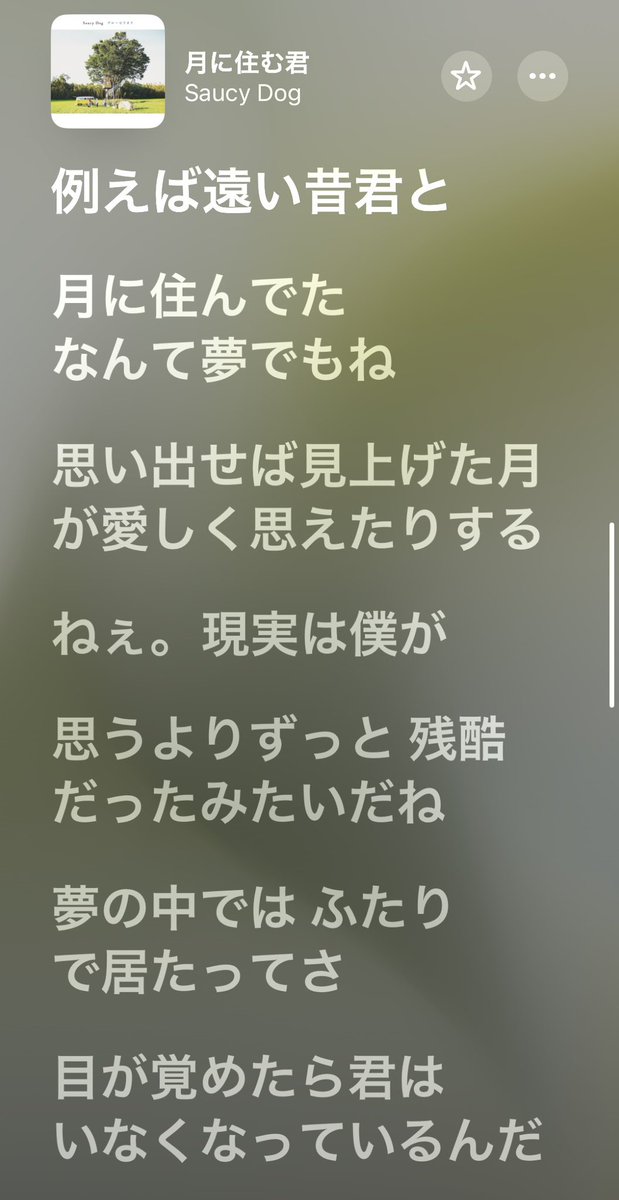 𝟐𝟏 tweet media