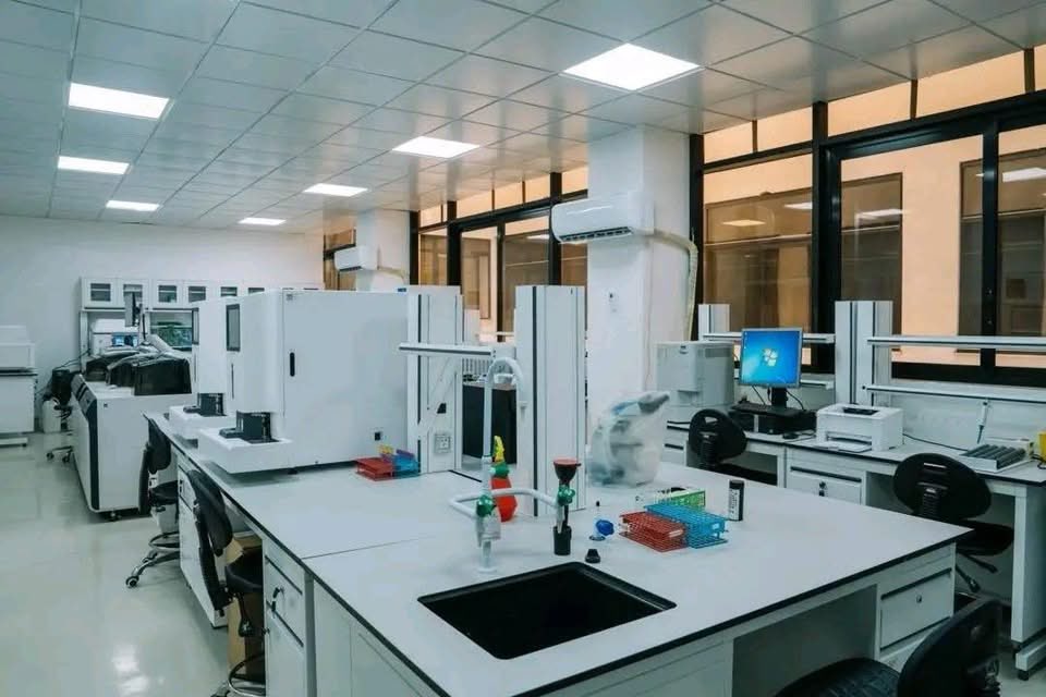 Ambassador Molalign Asfaw tweet media