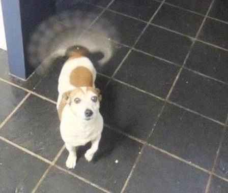 saturn 🪐 tweet media